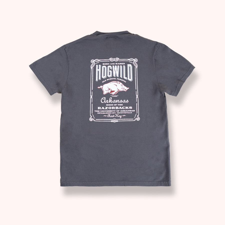 Hogwild