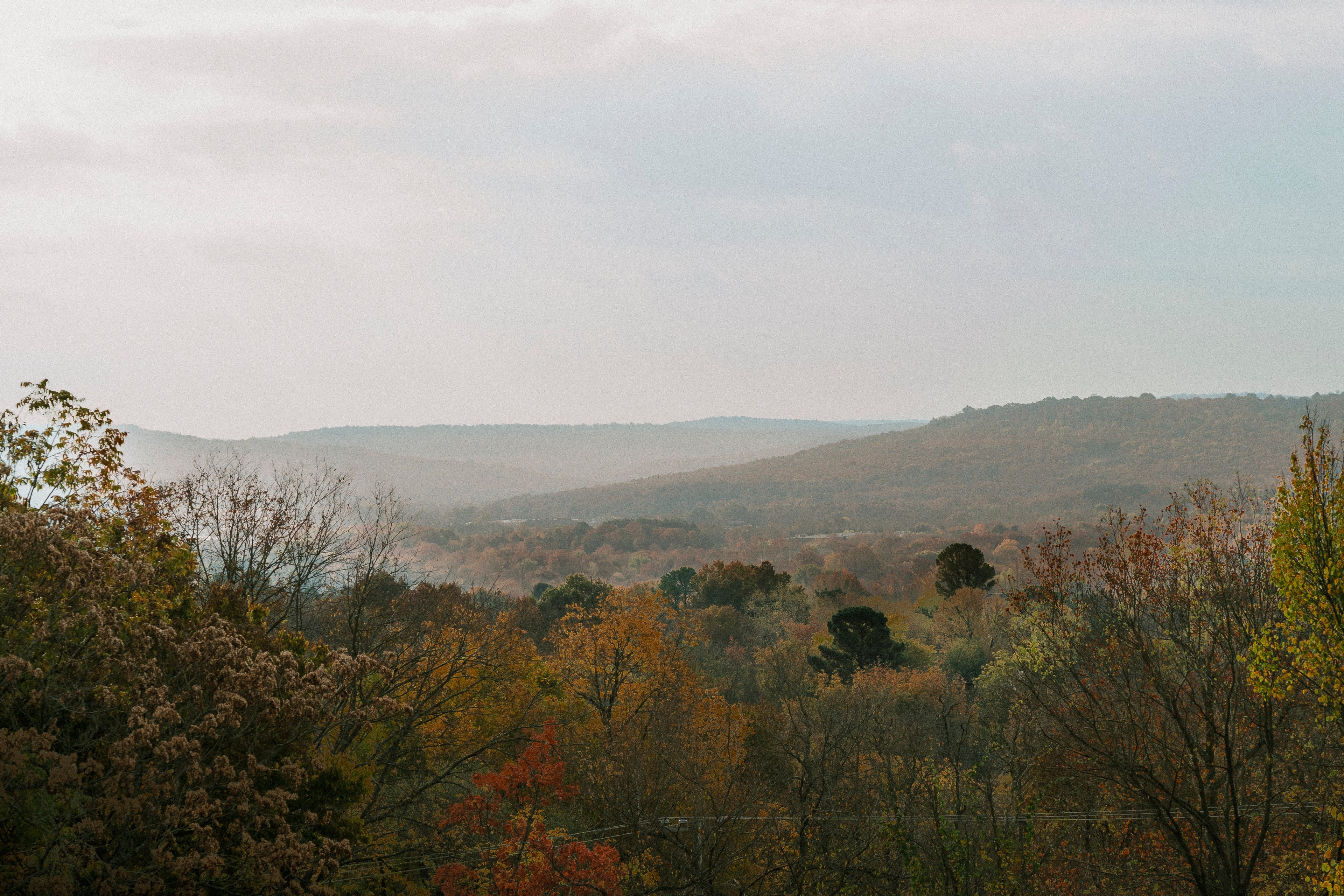 collection-banner-image