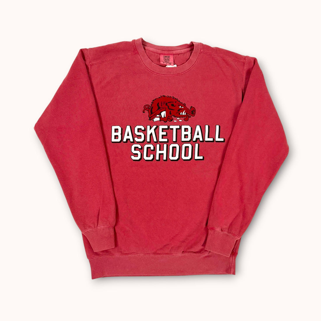 Basketball School
