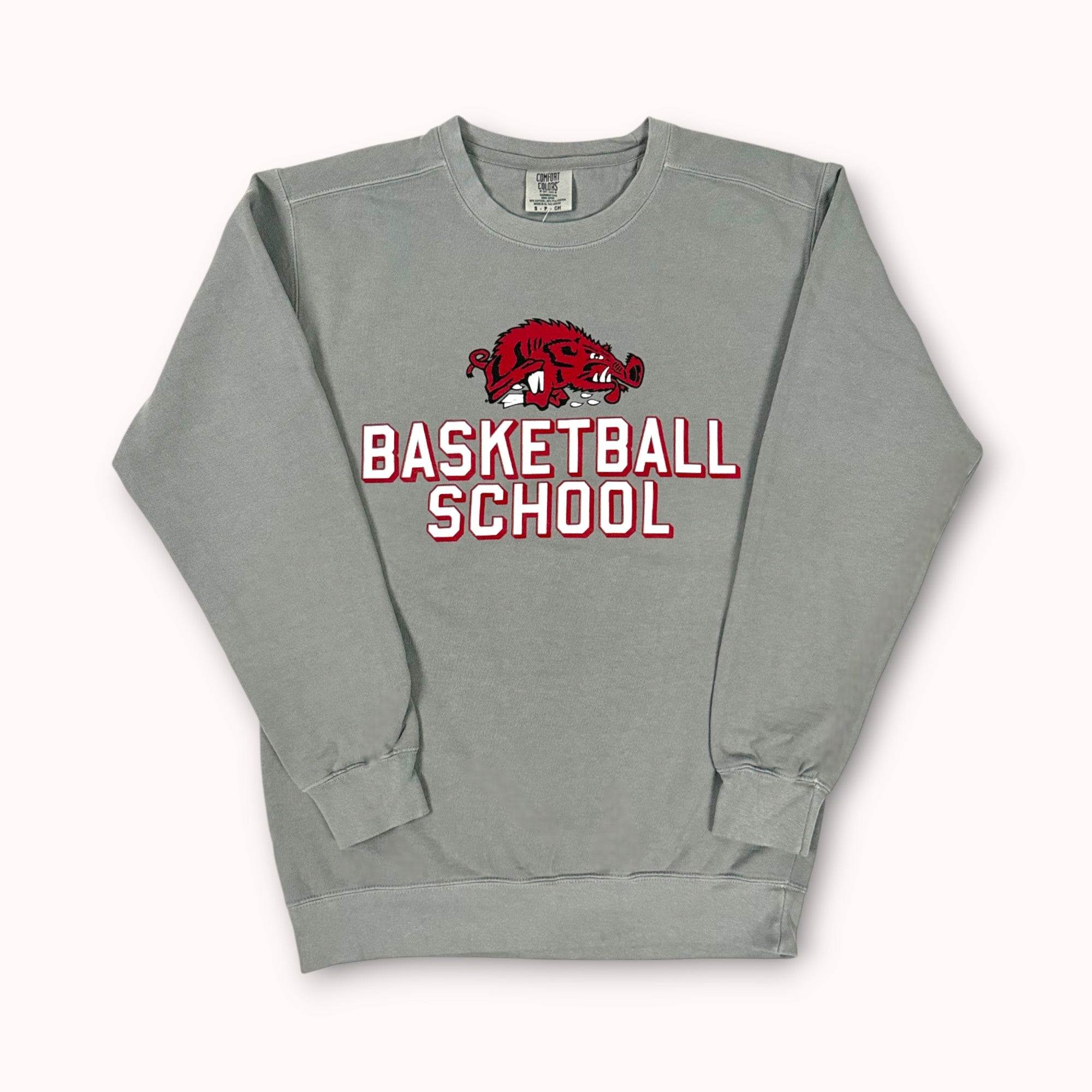 Basketball School