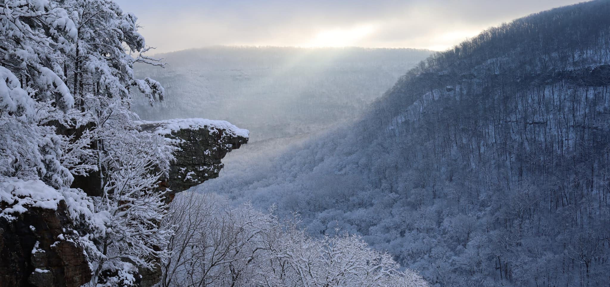 collection-banner-image