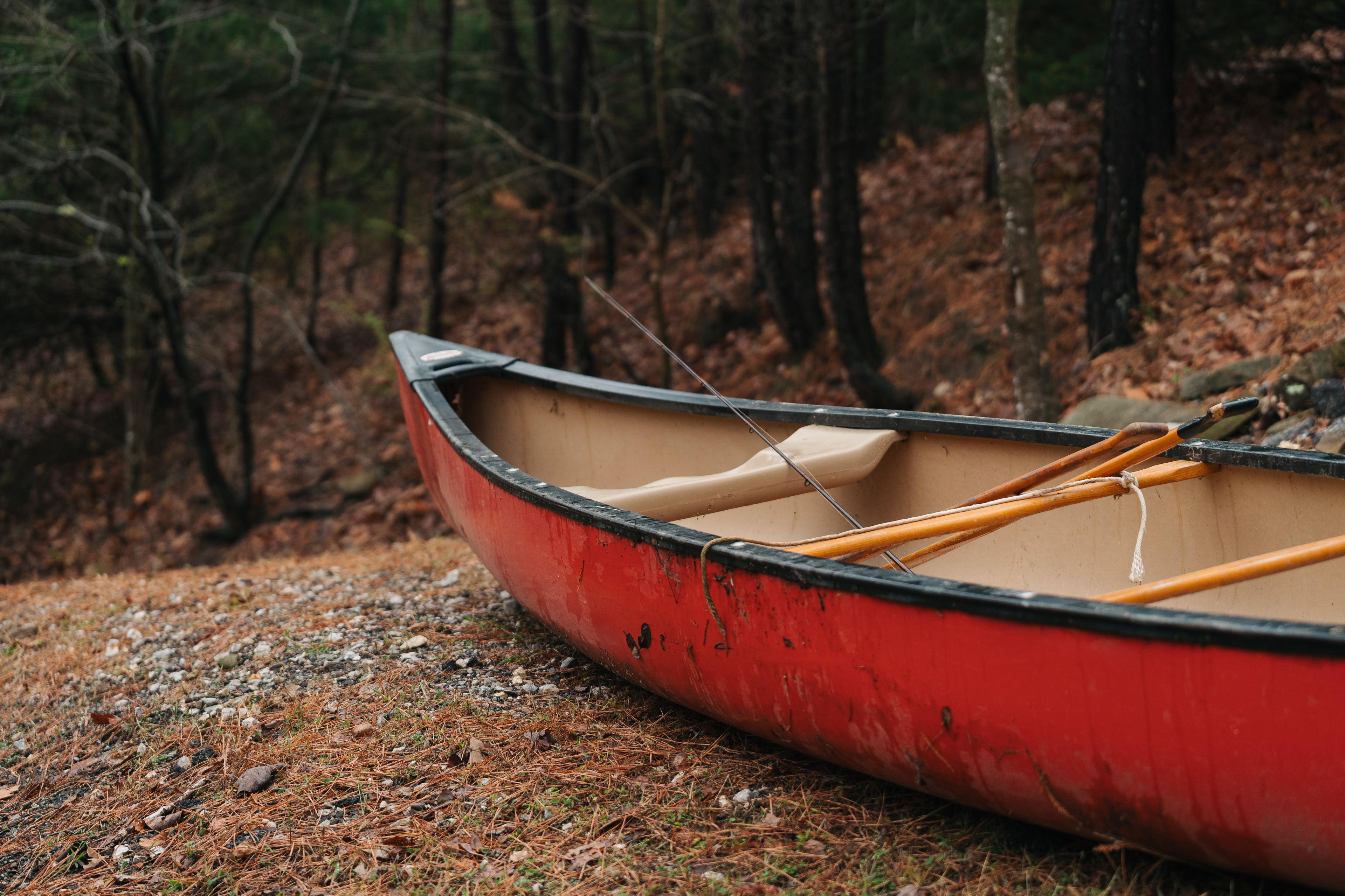 collection-banner-image