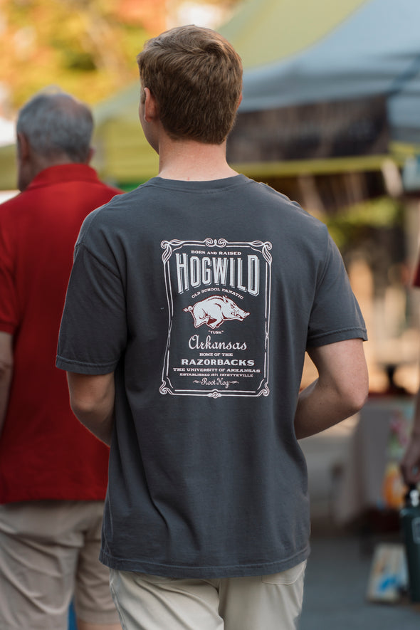 Hogwild