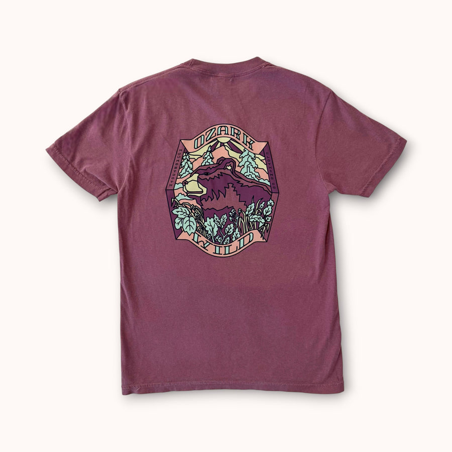 Ozark Wild Bear