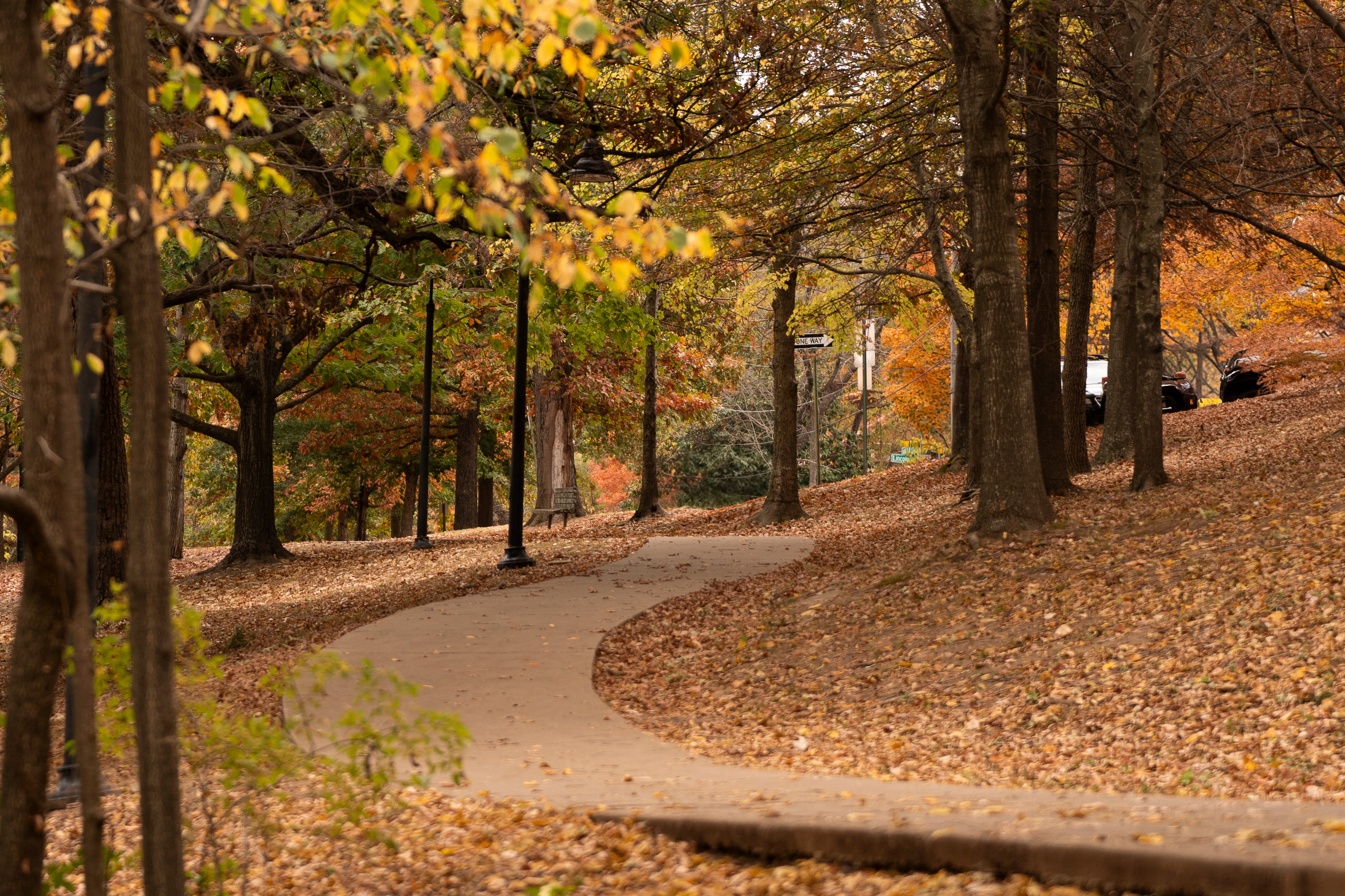 collection-banner-image